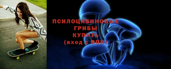 не бодяженный Переславль-Залесский