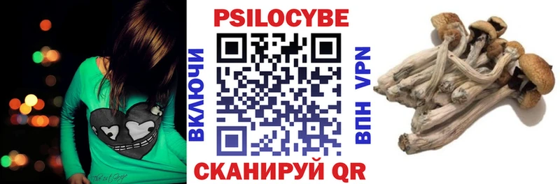 купить   Олёкминск  Псилоцибиновые грибы Psilocybine cubensis 